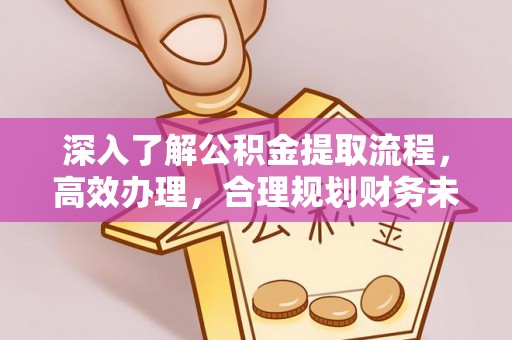 鱼峰深入了解公积金提取流程，高效办理，合理规划财务未来